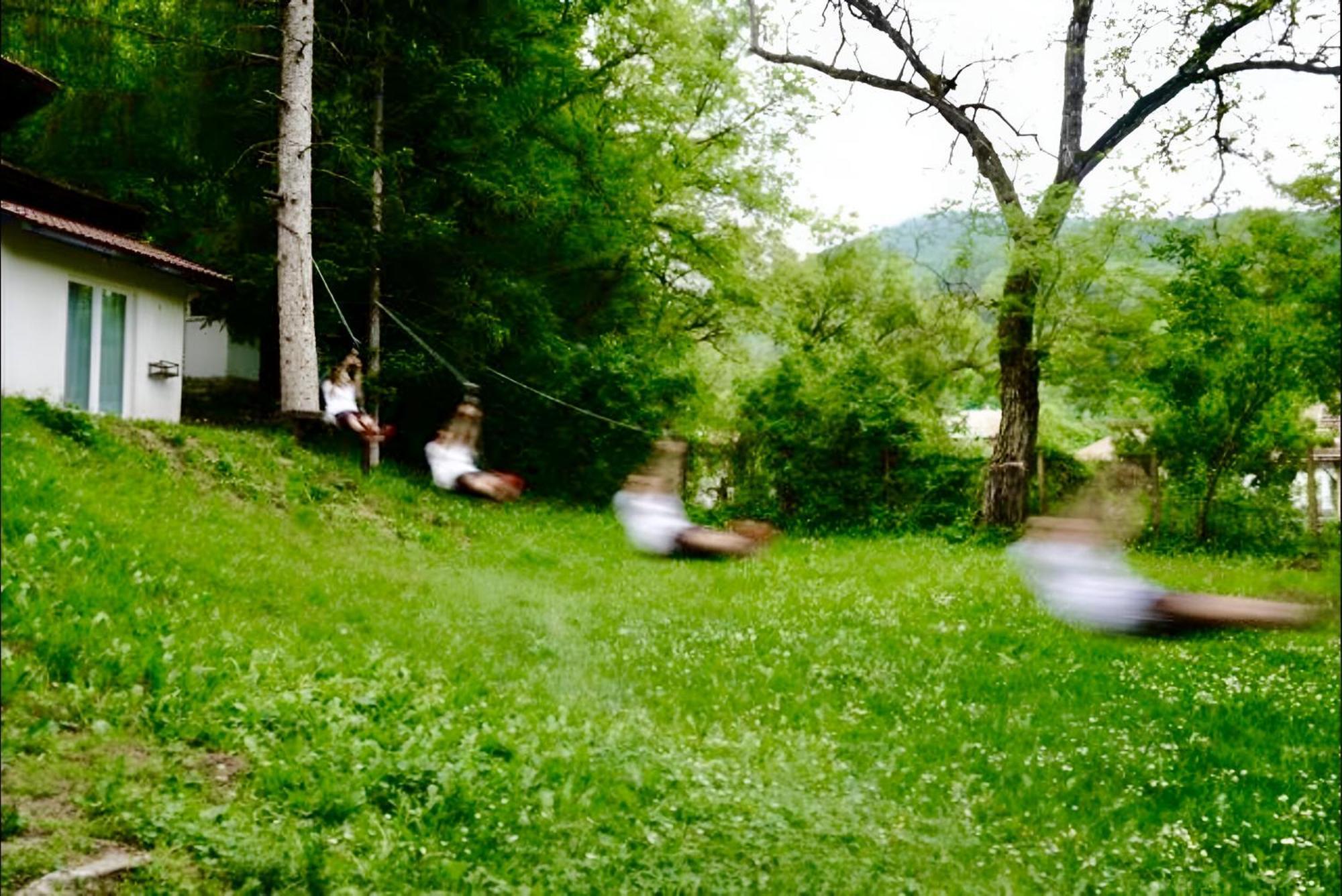 Пе́трови Вили Рибарица Экстерьер фото