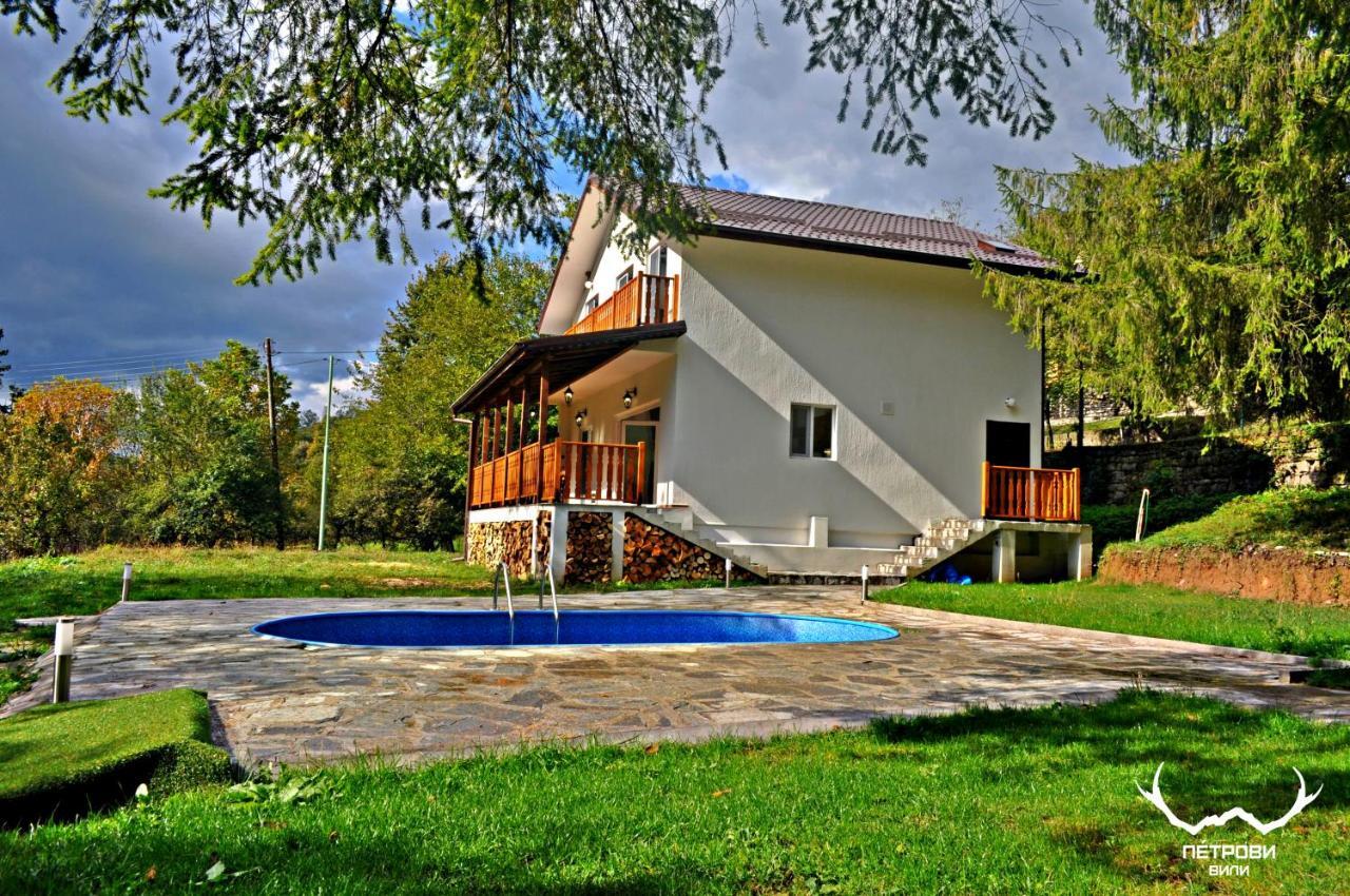Пе́трови Вили Рибарица Экстерьер фото